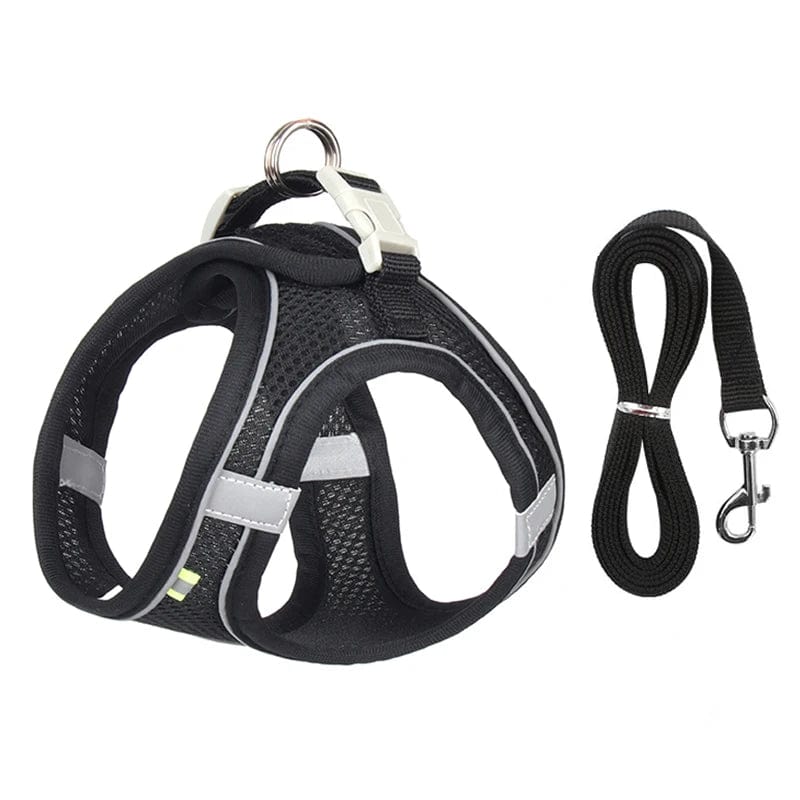 Avelena | Hundegeschirr Liner Set für Kleine Hunde Verstellbares Welpen Katzen Geschirr Weste Französische Bulldogge Chihuahua Mops Outdoor Spaziergang Gelenk