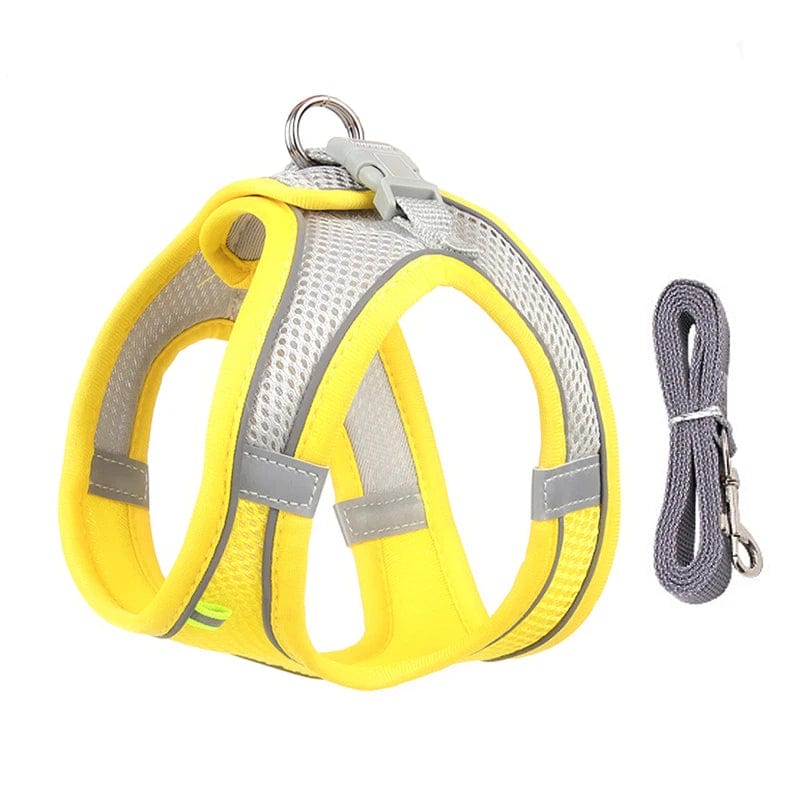 Avelena | Hundegeschirr Liner Set für Kleine Hunde Verstellbares Welpen Katzen Geschirr Weste Französische Bulldogge Chihuahua Mops Outdoor Spaziergang Gelenk