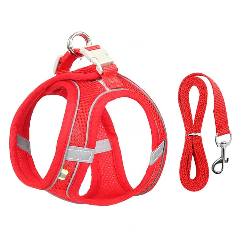 Avelena | Hundegeschirr Liner Set für Kleine Hunde Verstellbares Welpen Katzen Geschirr Weste Französische Bulldogge Chihuahua Mops Outdoor Spaziergang Gelenk
