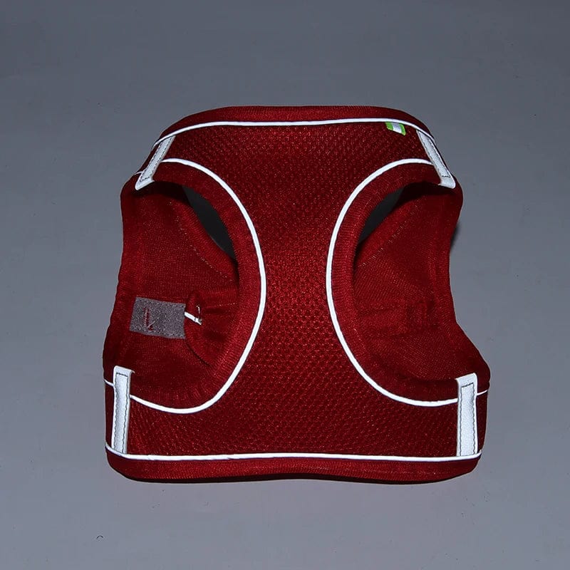 Avelena | Hundegeschirr Liner Set für Kleine Hunde Verstellbares Welpen Katzen Geschirr Weste Französische Bulldogge Chihuahua Mops Outdoor Spaziergang Gelenk