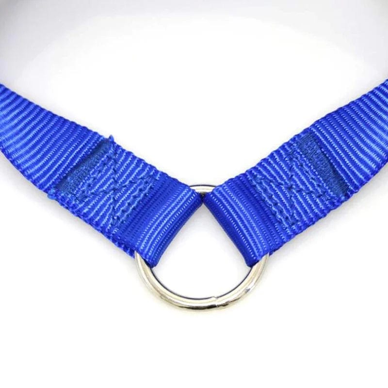 Avelena | Doppelter Zwillings-Dual-Kuppel-Hundeleine Zwei-In-Eins Starkes Nylon V-Form Haustier Hundeleine Bunte Zwei-Wege Haustierleine