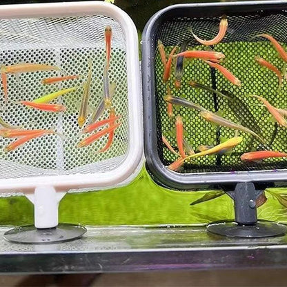 Avelena | Fischaufbewahrungsnetz Rostbeständig Korrosionsbeständig Edelstahl Fischnetz Zum Fangen Von Fischen Garnelen Tank Aquarium Zubehör