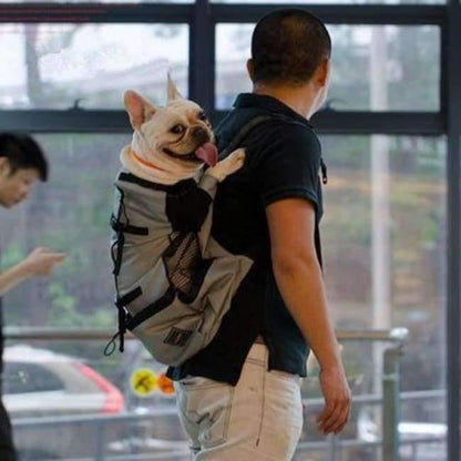 Avelena | Hundetasche Träger Haustier Hund Rucksack für Große Mittelgroße Kleine Hunde Atmungsaktive Reise Hundeträger für Reiten Wandern S-Xl