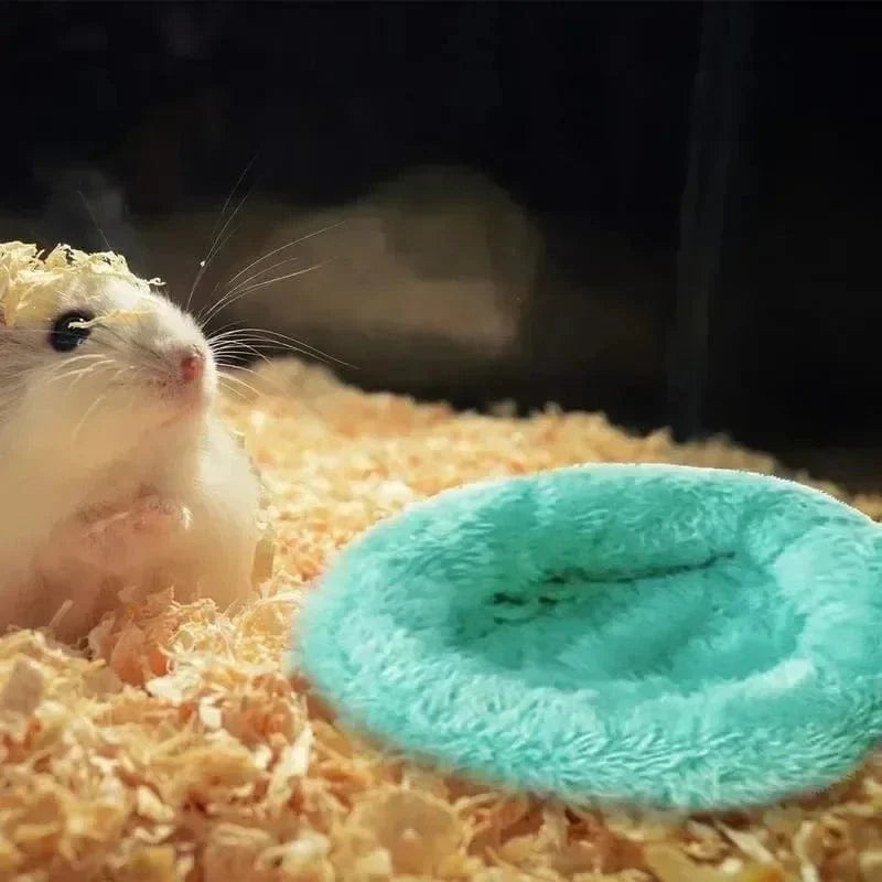 Avelena | Hamster Kokosnussschale Hängematte Nest Schlafplatz Versteck Mit Ständer Käfig Zubehör Für Kleine Tiere Golden Bear Zuckerglider