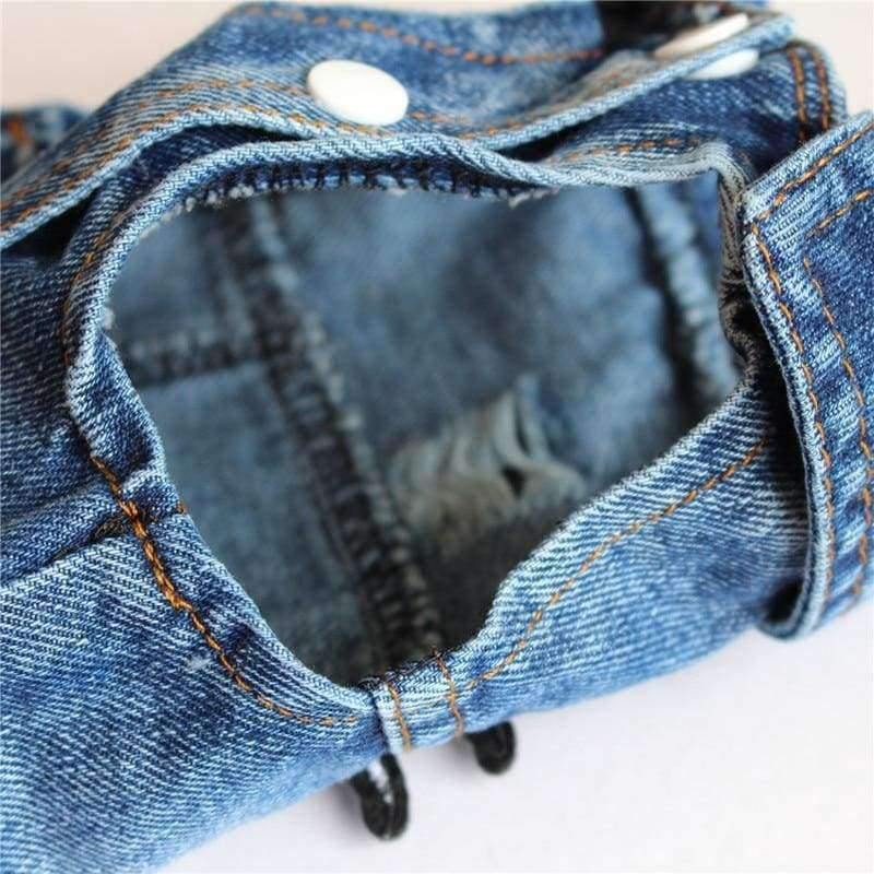 Avelena | Bestickte Haustierkleidung Loch Cowboy Jeans Kleidung für Kleine Hunde Herbst Chihuahua Hundejacke Fabrikverkauf Hundewesten