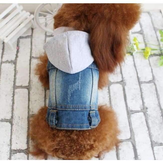 Avelena | Bestickte Haustierkleidung Loch Cowboy Jeans Kleidung für Kleine Hunde Herbst Chihuahua Hundejacke Fabrikverkauf Hundewesten