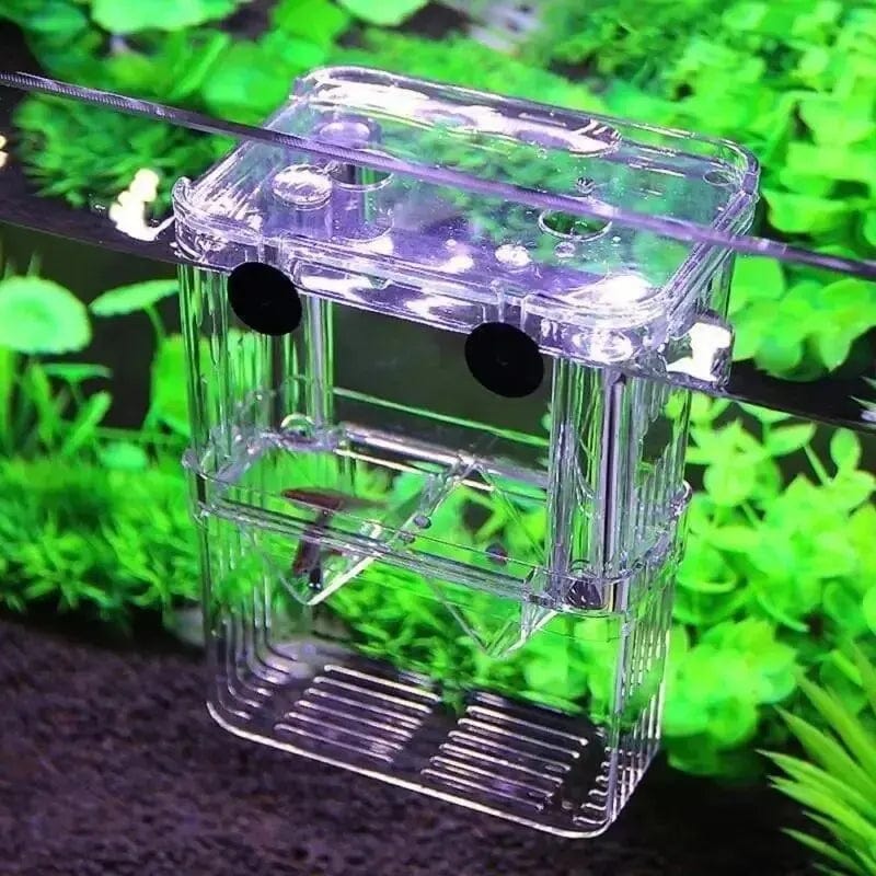 Avelena | Aquarium Fisch Zucht Box Haltbare Betta Fisch Tank Fisch Zucht Isolation Box Brutkasten Box Für Baby Fisch Garnelen