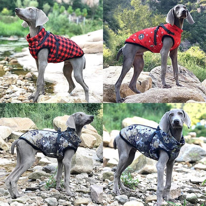 Avelena | Große Haustierhund Jacke Mit Geschirr Winter Warme Hundekleidung Für Labrador Wasserdichte Große Hunde Jacke Chihuahua Französische Bulldogge Outfits