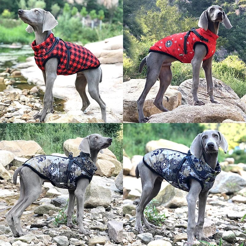 Avelena | Große Haustier Hundejacke mit Geschirr Winter Warme Hundekleidung für Labrador Wasserdichte Große Hundejacke Chihuahua Französische Bulldogge Outfit