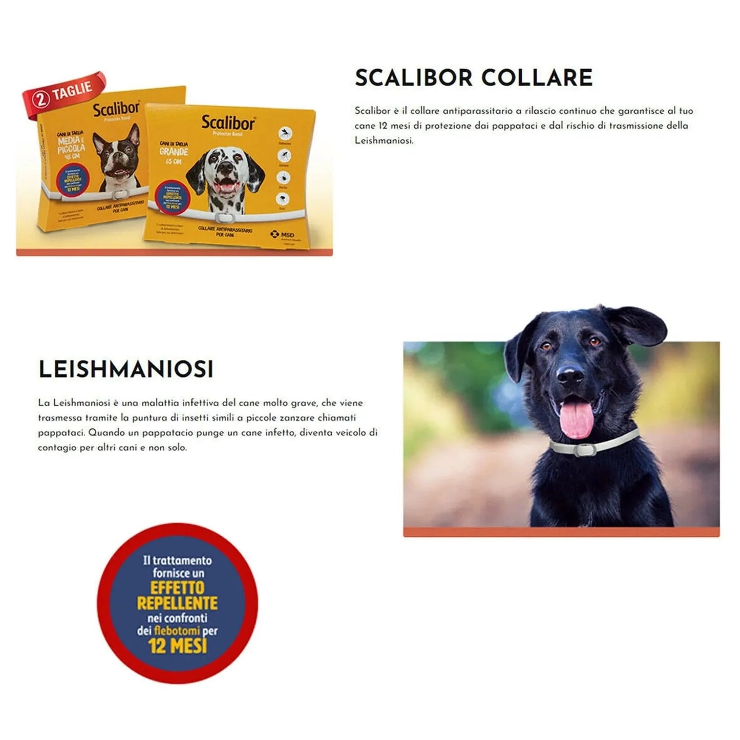Avelena | Neue 48/65Cm Haustier Anti-Flöhe Zecken Antiparasitär Katzenhalsband Hundeschutz Verstellbare Halsbänder Für Welpe Katze Große Hunde Zubehör