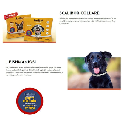 Avelena | Neue 48/65Cm Haustier Anti-Flöhe Zecken Antiparasitär Katzenhalsband Hundeschutz Verstellbare Halsbänder Für Welpe Katze Große Hunde Zubehör
