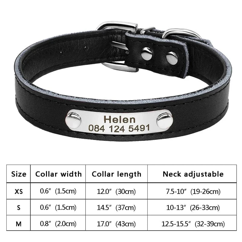 Avelena | Personalisierter Hund Katze Halsband Verstellbares Katzen Kristall Halsbänder Anti-Verlust Leder Welpen Katzen Halskette Fliege Strass Zubehör