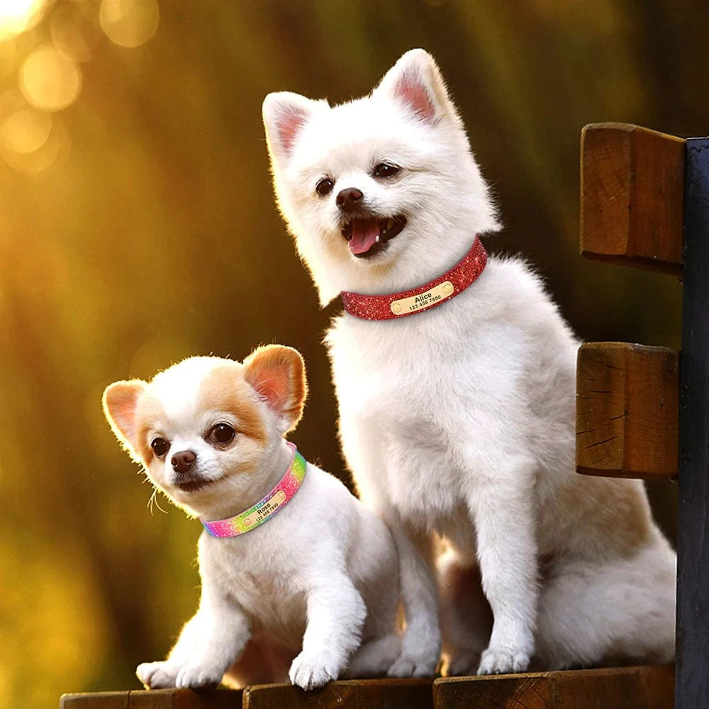Avelena | Personalisierter Hund Katze Halsband Verstellbares Katzen Kristall Halsbänder Anti-Verlust Leder Welpen Katzen Halskette Fliege Strass Zubehör