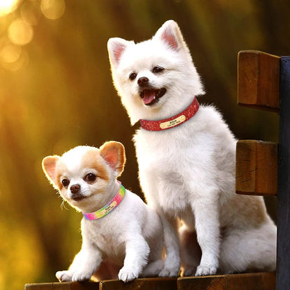 Avelena | Personalisierter Hund Katze Halsband Verstellbares Katzen Kristall Halsbänder Anti-Verlust Leder Welpen Katzen Halskette Fliege Strass Zubehör