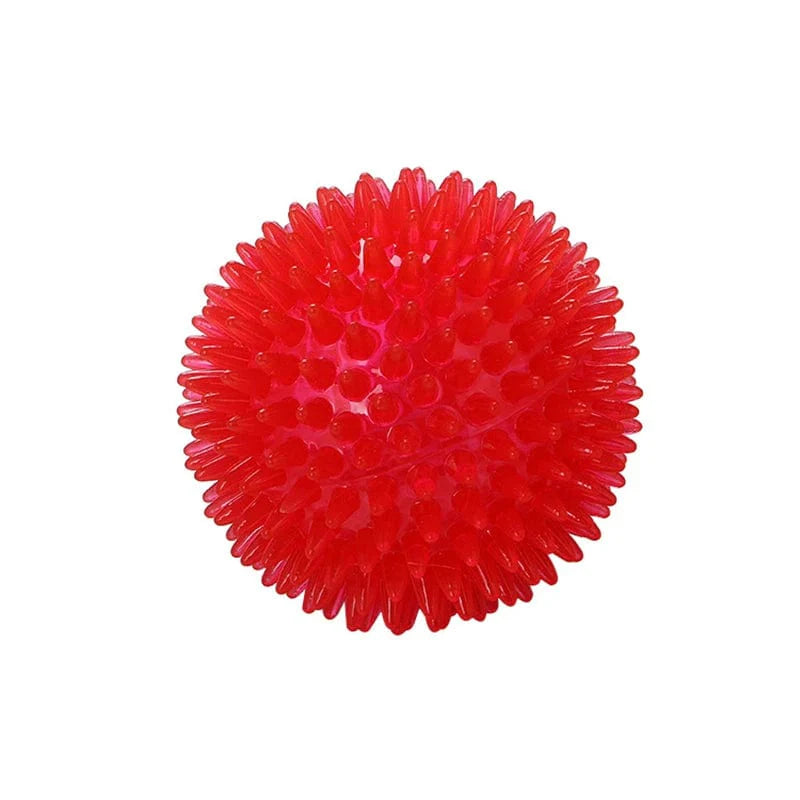 Avelena | Haustier Hundespielzeug Katze Welpe Geräuschspielzeug Polka Pipe Zahnreinigungsball Tpr Training Haustierzahnbau Spielzeug Tornbälle Zubehör