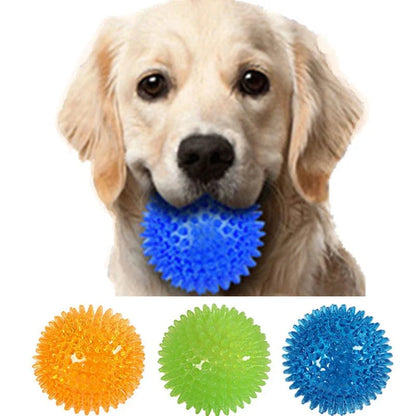 Avelena | Haustier Hundespielzeug Katze Welpe Geräuschspielzeug Polka Pipe Zahnreinigungsball Tpr Training Haustierzahnbau Spielzeug Tornbälle Zubehör