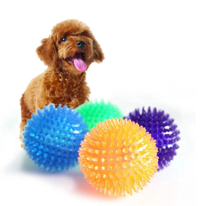 Avelena | Haustier Hundespielzeug Katze Welpe Geräuschspielzeug Polka Pipe Zahnreinigungsball Tpr Training Haustierzahnbau Spielzeug Tornbälle Zubehör