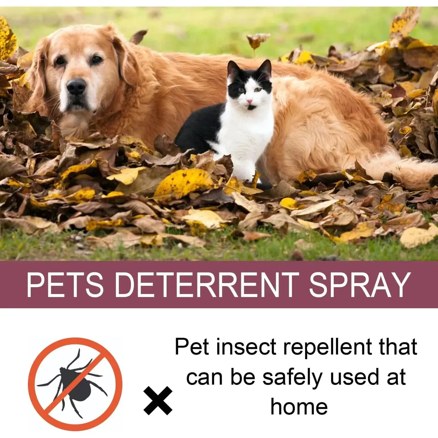 Avelena | Tierinsektenschutzspray Vertreibt Flöhe Läuse Zecken Sterilisation Lindert Hautjuckreiz Geeignet Zur Entwurmung Von Katzen Und Hunden
