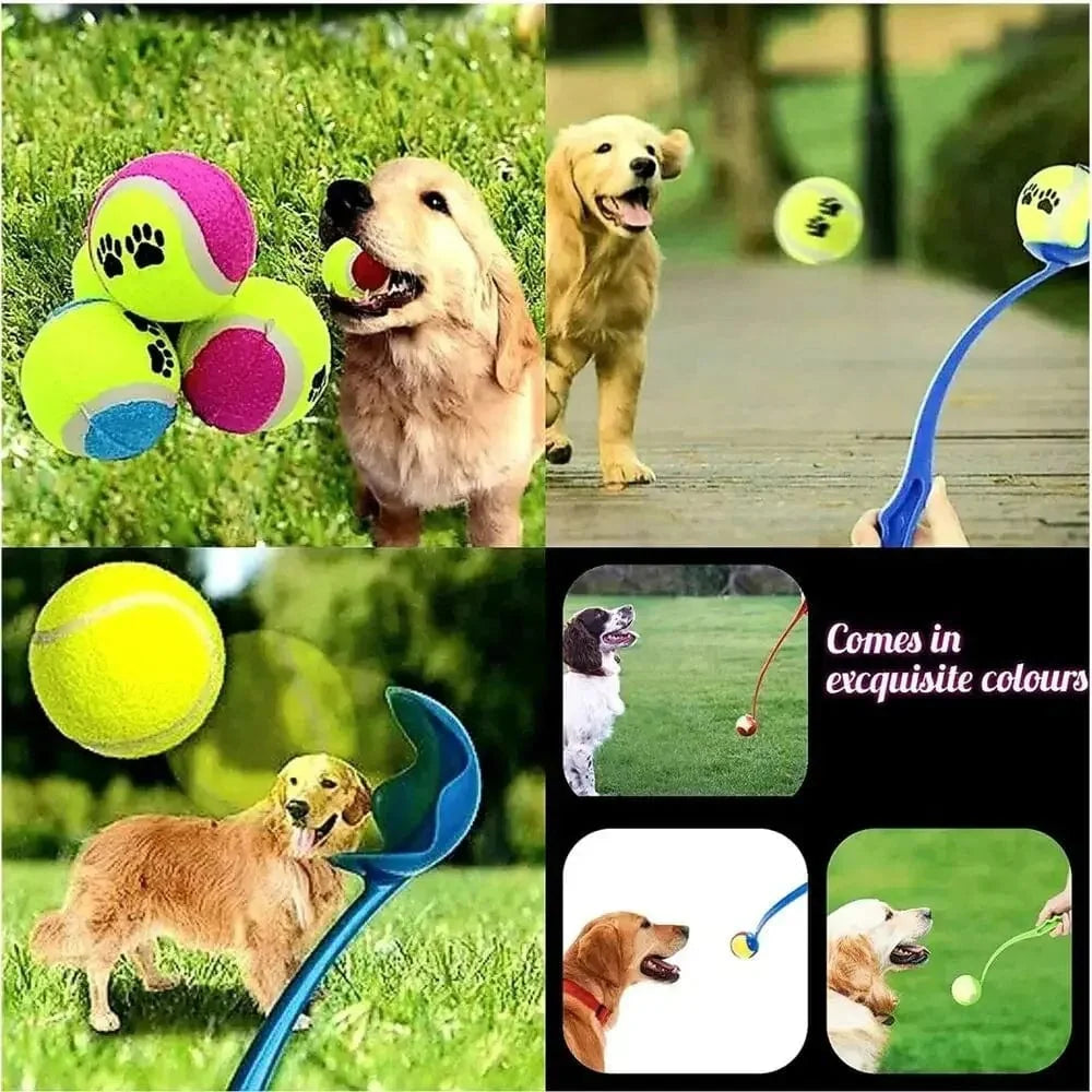 Avelena | Haustierwurfstock Hund Handwurfball Spielzeuge Haustier Tennis Launcher Stange Outdoor Aktivitäten Hunde Training Spielzeuge Haustierbedarf