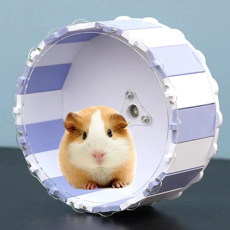 Avelena | Haustier-Spielzeug Sport Rundrad Hamster Lauftraining Rad Kleintier Haustierkäfig Zubehör Leises Haustier Trainingszubehör