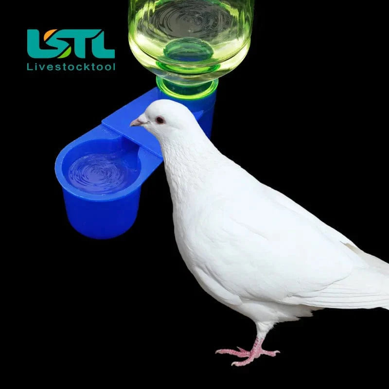 Avelena | Plastisches Haustier Vogel Taube Trinkschale Wachtel Wasserbecher Flasche Katze Huhn Taube Papagei Hamster Doppel-Düse Wasserführung für Vogel