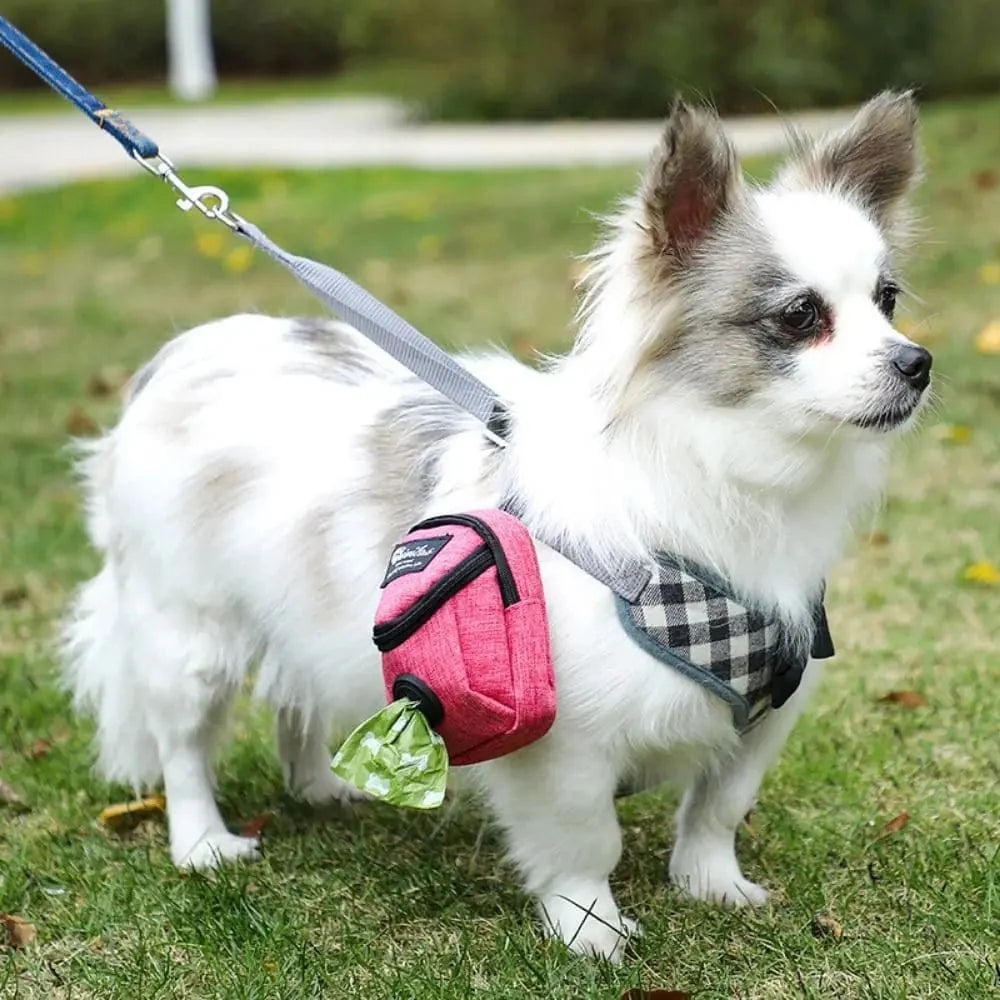 Avelena | Tragbare Hundetrainings-Leckerli-Tasche Tragetasche Für Haustiere Hundeleckerli-Tasche Welpen-Snack-Belohnung Hüfttasche Hundekotbeutel Hundeträgersäcke