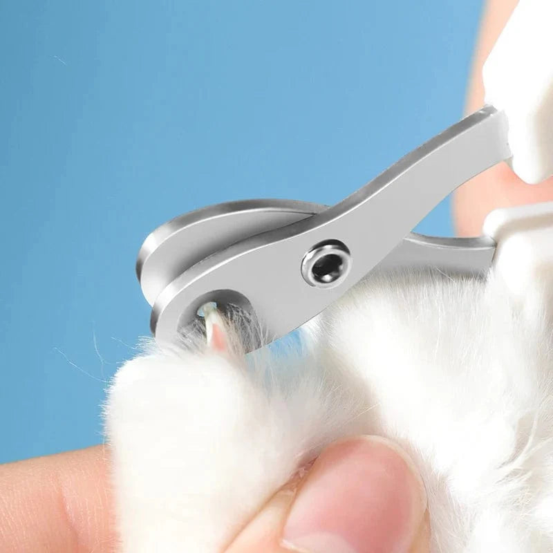 Avelena | Professionelle Krallenschneider für Kleine Katzen und Hunde aus Rostfreiem Stahl Welpenkrallenschneider Haustiernagelpflege Clippers Trimmer