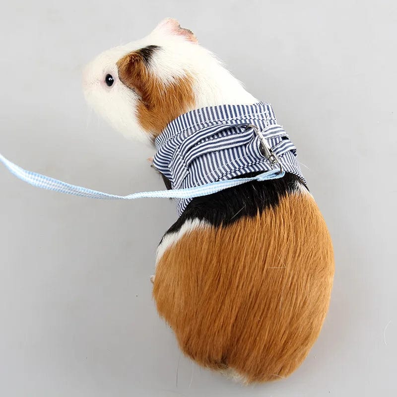 Avelena | S/L Kleintier Brustgurt Hamster Outdoor Zugseil Verstellbares Geschirr Leine Weste Für Kaninchen Igel Chinchilla Meerschweinchen