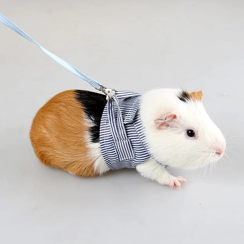 Avelena | S/L Kleintier Brustgurt Hamster Outdoor Zugseil Verstellbares Geschirr Leine Weste Für Kaninchen Igel Chinchilla Meerschweinchen