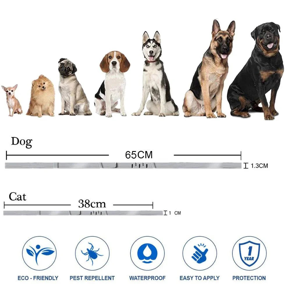 Avelena | Silikon Floh- Und Zeckenhalsband Für Hunde Katzen Bis Zu 8 Monate Floh Zecken Hundehalsband Anti-Mücken- Und Insektenschutz Haustierhalsbänder