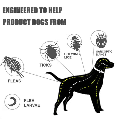 Avelena | Silikon Floh- Und Zeckenhalsband Für Hunde Katzen Bis Zu 8 Monate Floh Zecken Hundehalsband Anti-Mücken- Und Insektenschutz Haustierhalsbänder