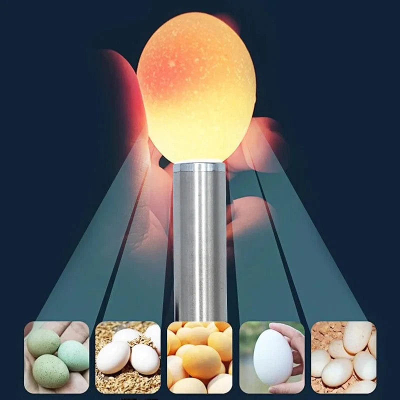 Avelena | Inkubator Ei Tester Ei Durchleuchtung Lampe Led Super Kalte Ausrüstung Inkubation Werkzeug Für Huhn Wachtel Eier Inkubation Werkzeuge