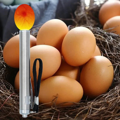 Avelena | Inkubator Ei Tester Ei Durchleuchtungslampe Led Super Kalt Ausrüstung Inkubation Werkzeug für Huhn Wachtel Ei Inkubation Werkzeug
