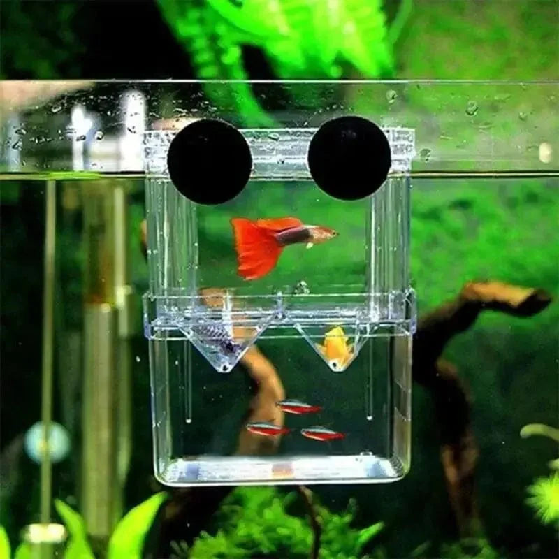Avelena | Aquarium Fisch Zucht Box Haltbare Betta Fisch Tank Fisch Zucht Isolation Box Brutkasten Box Für Baby Fisch Garnelen