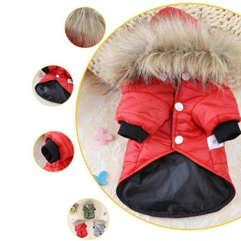 Avelena | Kleine Große Hunde Kleidung Tragen Jacke Kostüm Chihuahua Mäntel Yorkshire für Haustiere Kleidung mit Kappen8