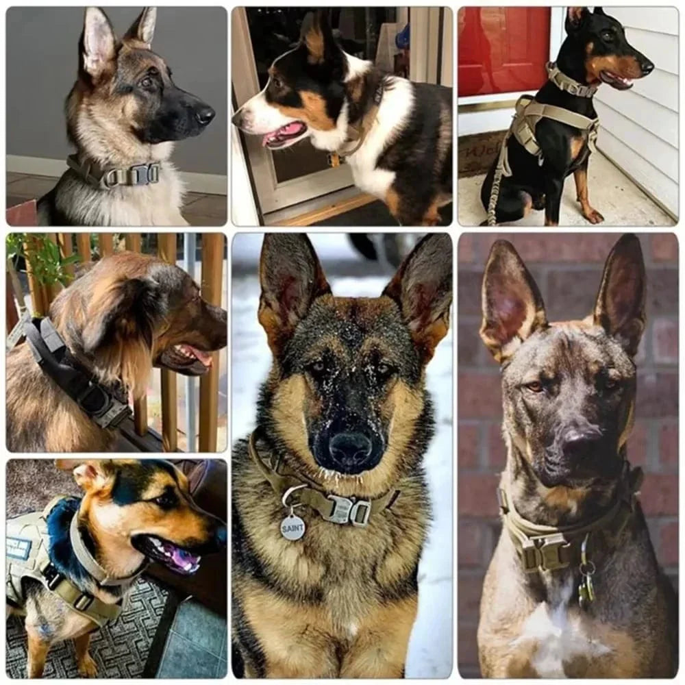 Avelena | Taktischer Polizeihundehalsband Militär Verstellbar Haltbares Nylon Deutscher Schäferhund Für Mittelgroße Große Spaziergänge Training Haustierzubehör