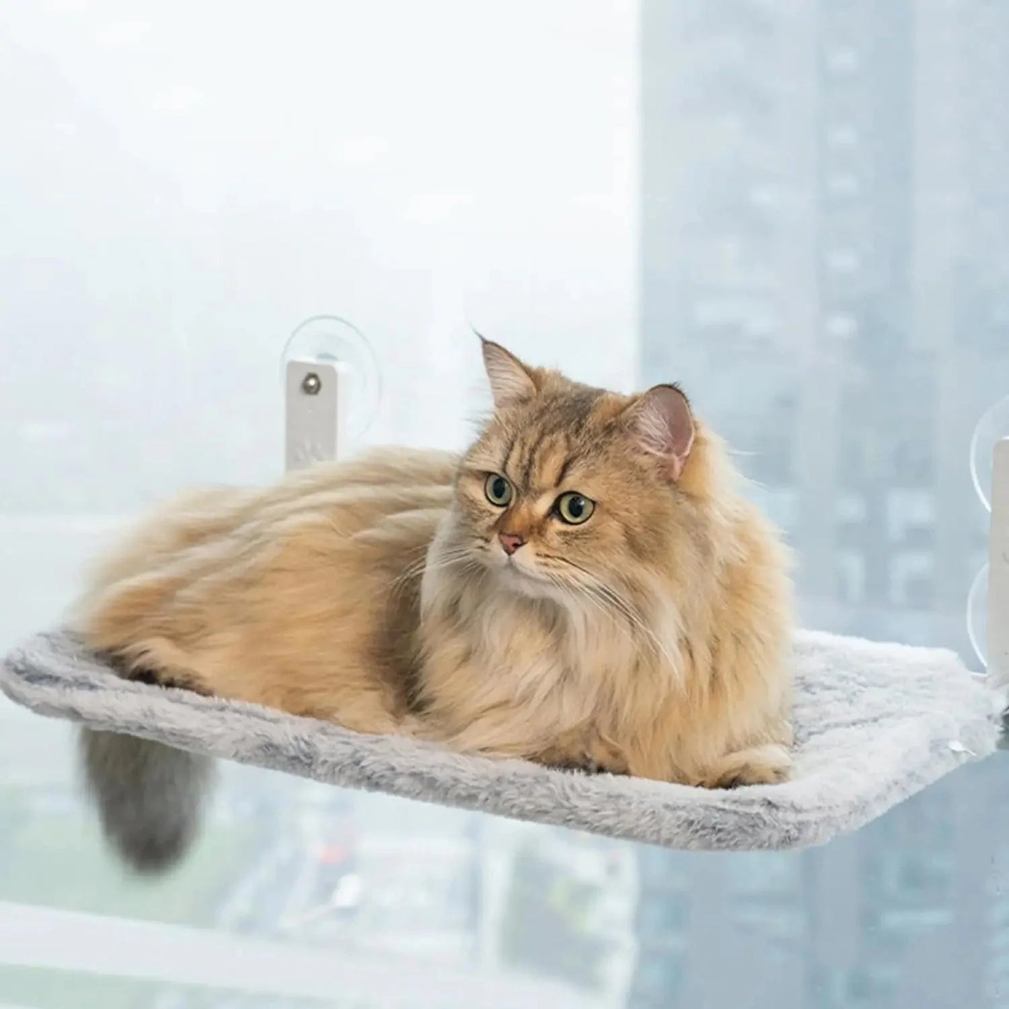 Avelena | Faltbare Katzenfensterliege Kabellose Katzenfensterhängematte Mit 4 Starken Saugnäpfen Fensterbrett Katzenbetten Sitz Für Hauskatzen Innen