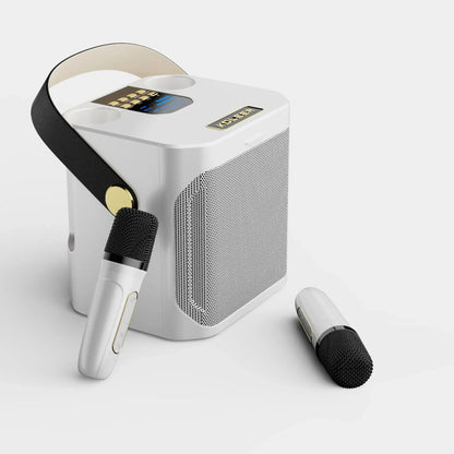 Avelena | Bluetooth-Lautsprecher Tragbare Drahtlose Karaoke-Maschine