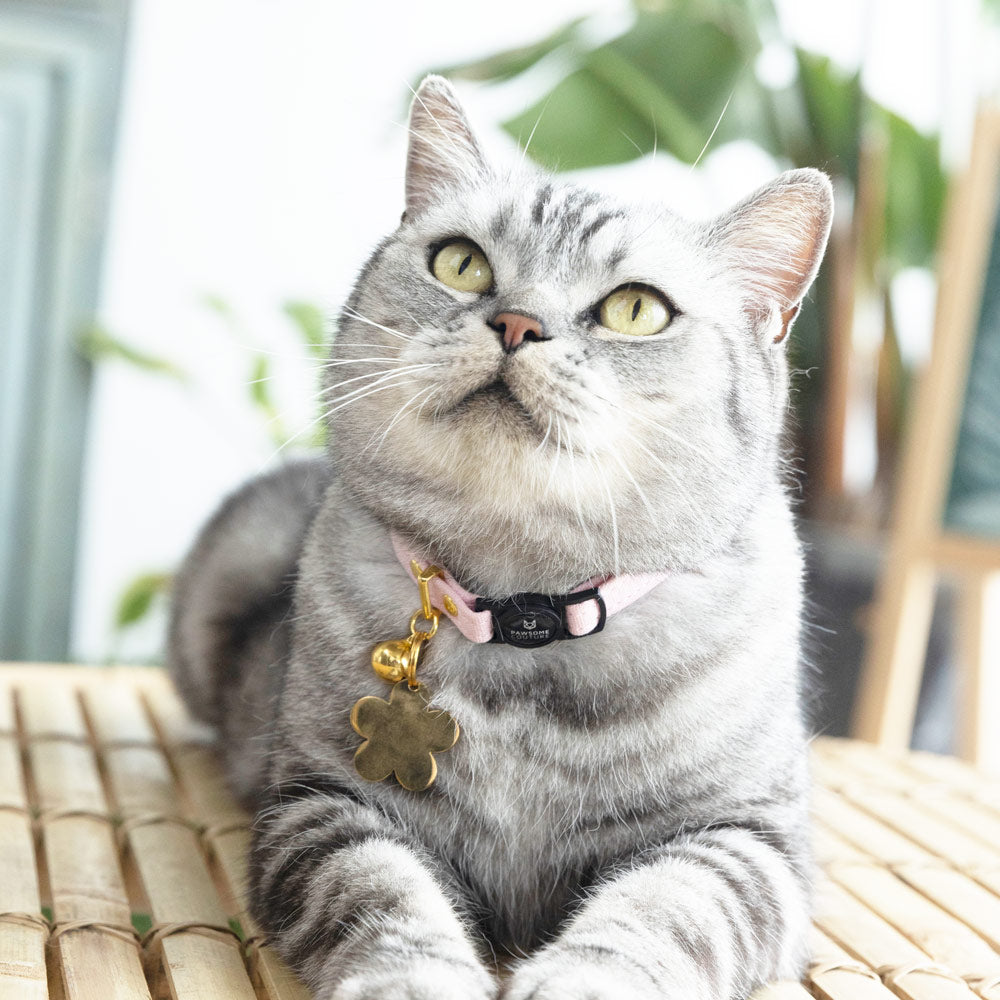 Avelena | Katzenleine aus Baumwolle