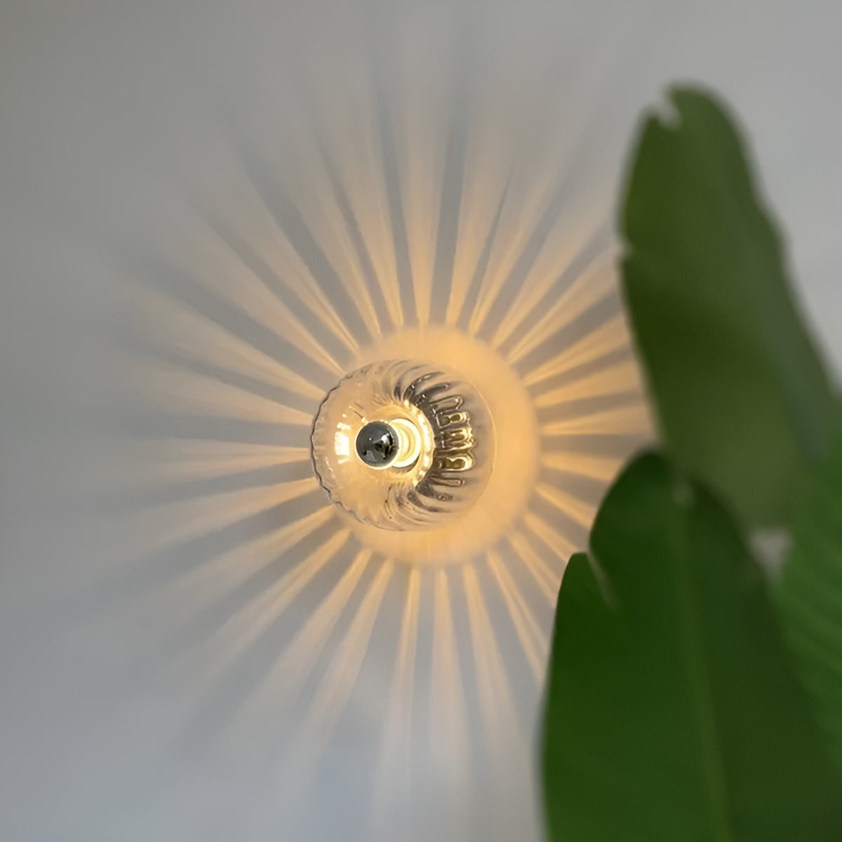 Avelena | Scandielegance Wandlampe Moderne Glasbeleuchtung mit Bauhaus Charme
