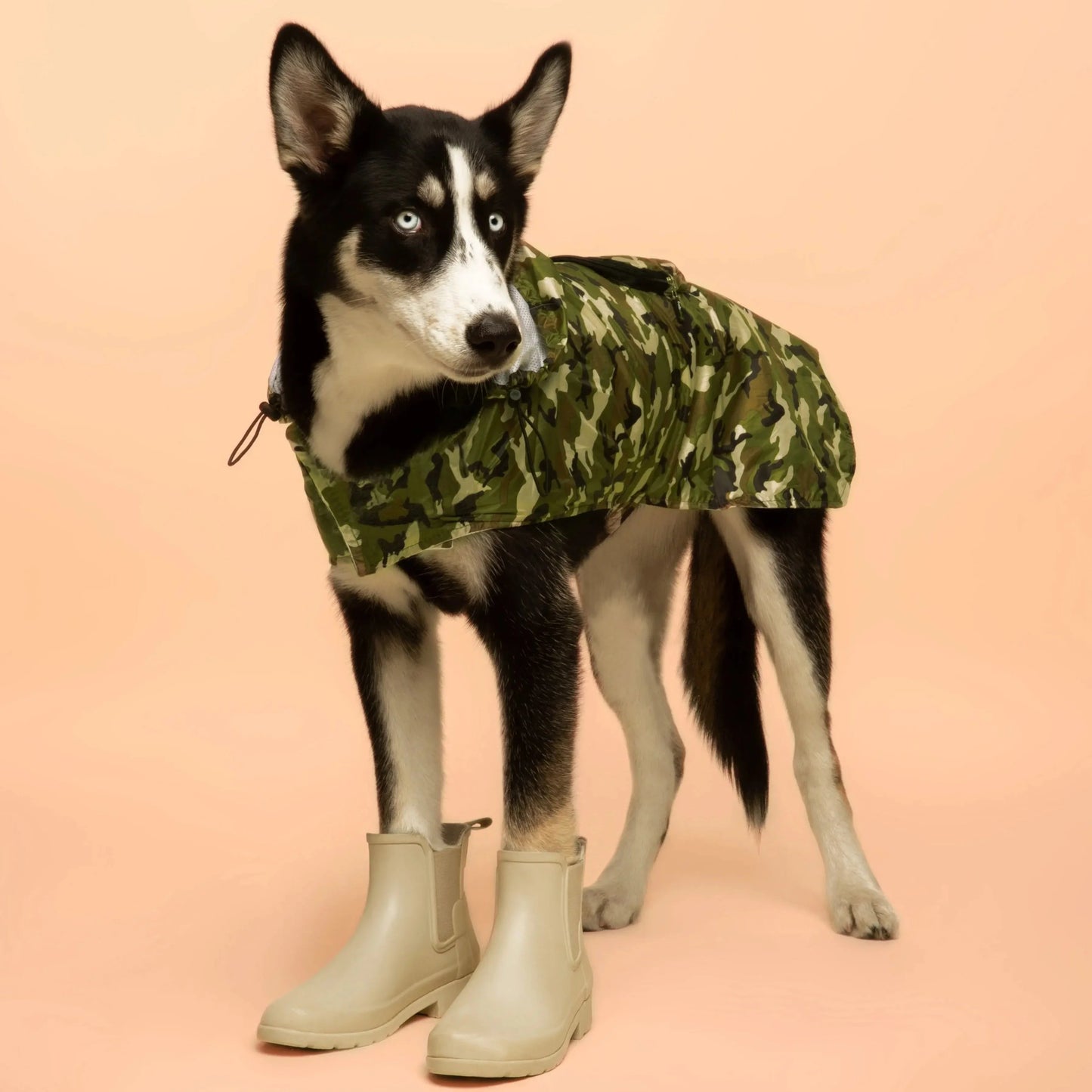 Avelena | Regenjacke für Hunde Faltbar Camouflage
