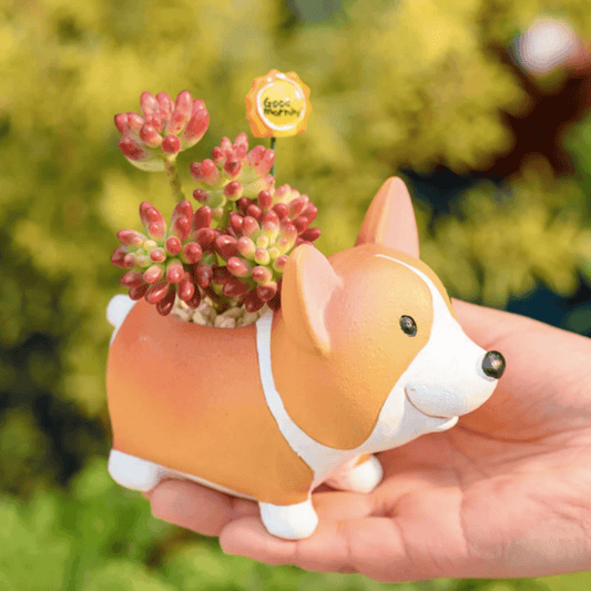 Avelena | Resin Corgi Mini Blumentopf