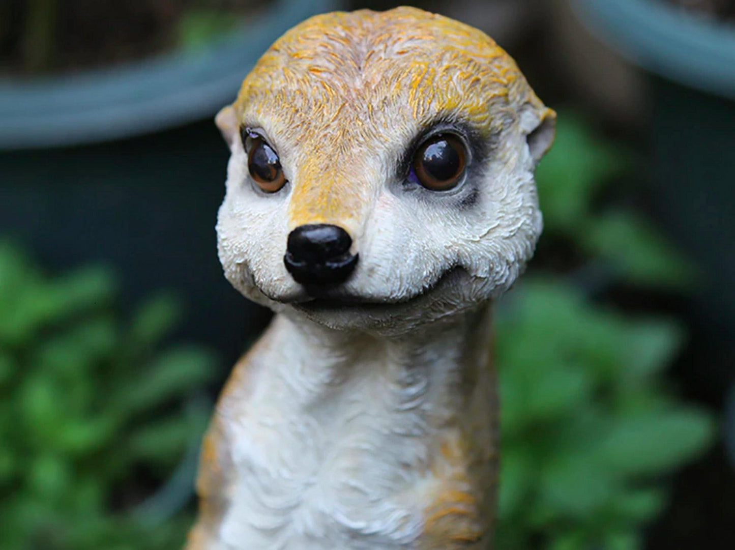 Avelena | Harz Mongoose Gartenfiguren