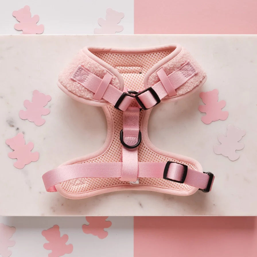 Avelena | Rosa Teddybär Hundegeschirr mit Guter Passform