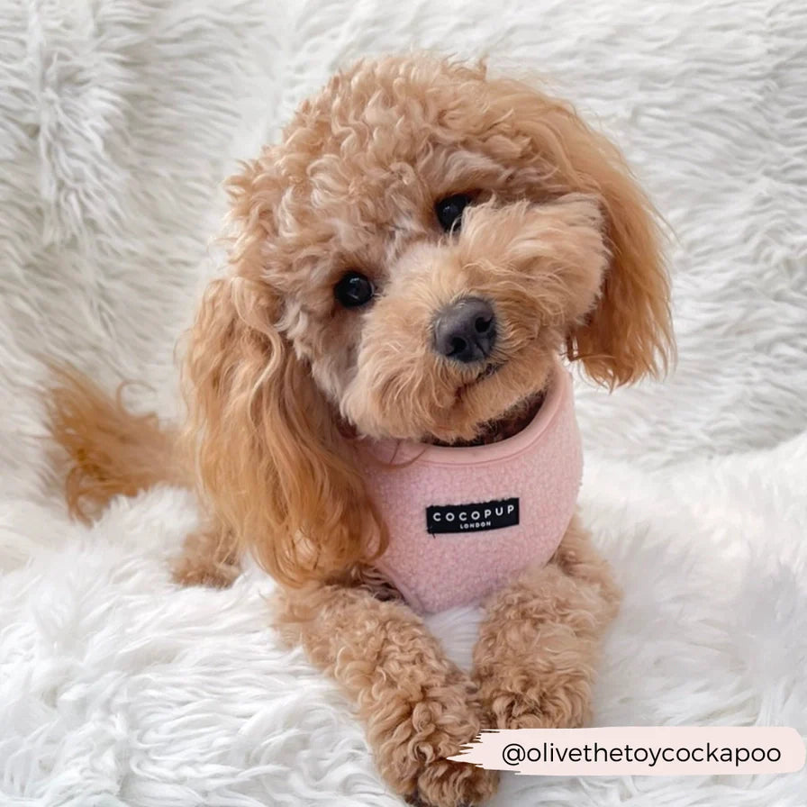 Avelena | Rosa Teddybär Hundegeschirr mit Guter Passform