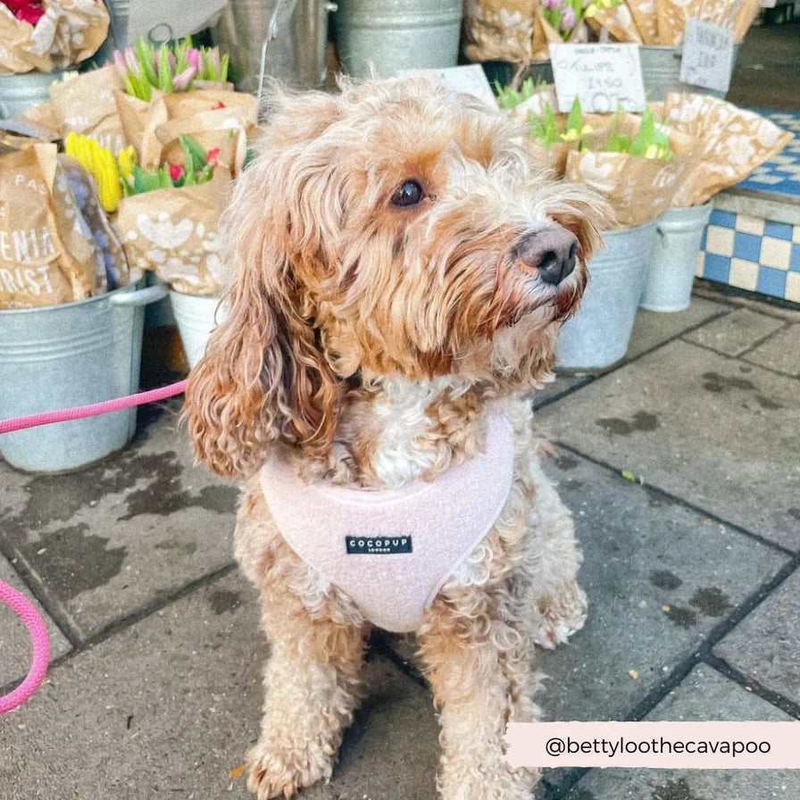 Avelena | Rosa Teddybär Hundegeschirr mit Guter Passform
