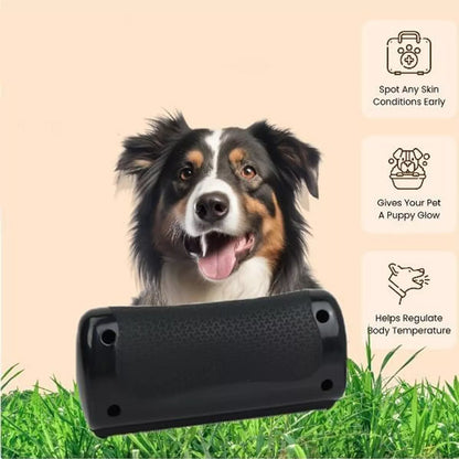 Avelena | BräutigamKumpel Entfernt loses Fell