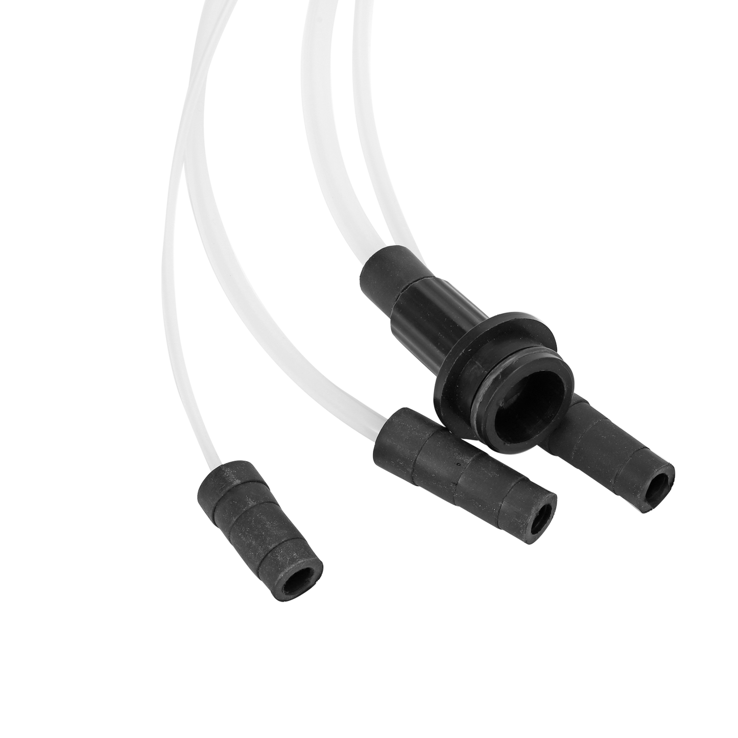 Avelena | Bester Öl-Extractor - Öl-Extractor