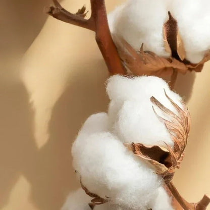 Avelena | Satin Baumwolle Besticktes Bettwäsche-Set - Luxora