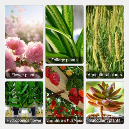 Avelena | Schnell wirkende Nährstofflösung für Pflanzen